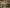 ASTRON CLOTHING LLP — image 2